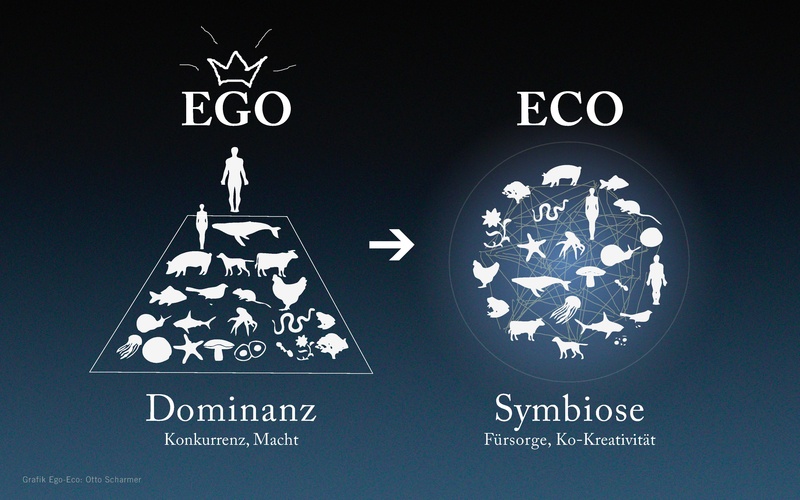 Datei:Präsentation Naturverbundenheit 7.4.25.pdf