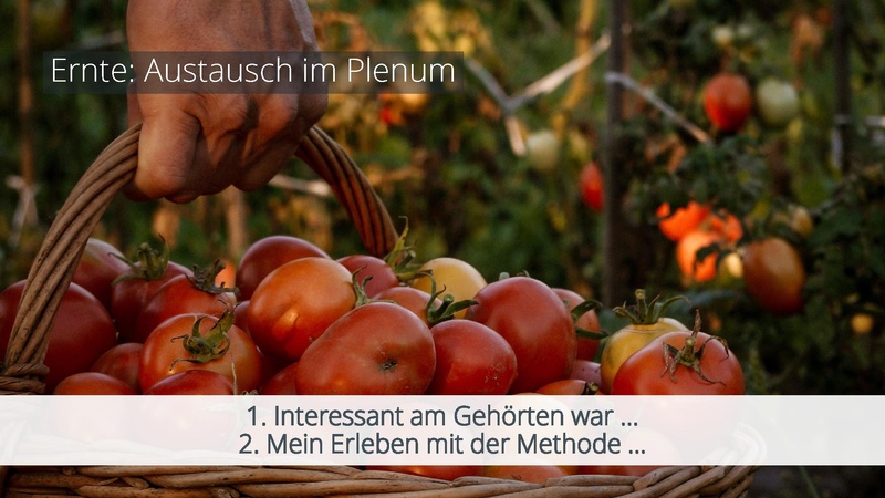 Datei:250327-IDGs-Hochschullehre-TH-OWL.pdf