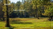 nächste Seite →
