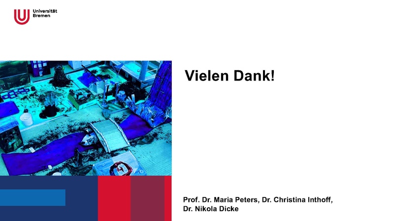 Datei:Pitch BNE-Themenheft.pdf