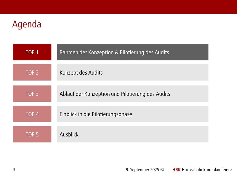 Datei:HRK Audit Nachhaltigkeit an Hochschulen Audit Hub 09.09.2025.pdf