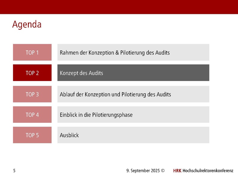 Datei:HRK Audit Nachhaltigkeit an Hochschulen Audit Hub 09.09.2025.pdf