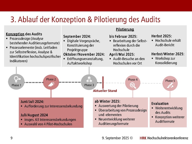 Datei:HRK Audit Nachhaltigkeit an Hochschulen Audit Hub 09.09.2025.pdf