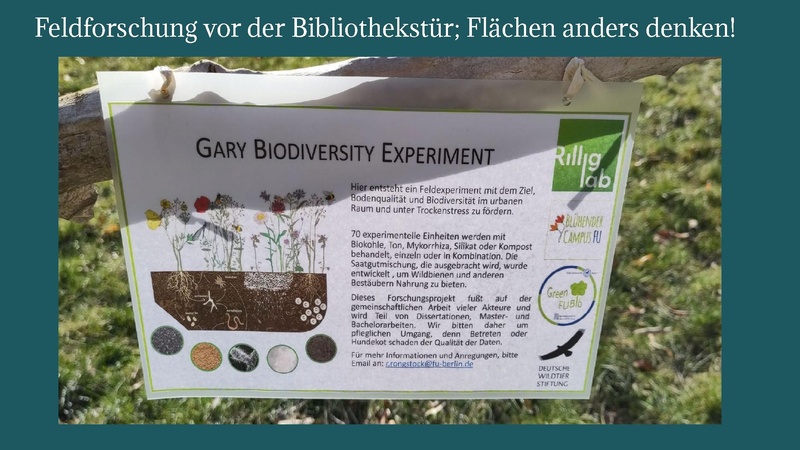 Datei:Slides Nachhaltige Bibliothek Janet Wagner.pdf