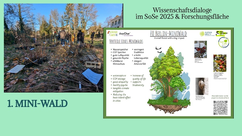 Datei:Slides Nachhaltige Bibliothek Janet Wagner.pdf
