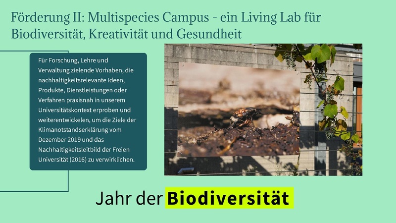 Datei:Slides Nachhaltige Bibliothek Janet Wagner.pdf