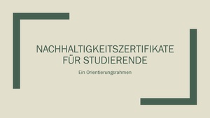 Präsentation NEZ-Orientierungsrahmen Hub-20260529 final.pdf