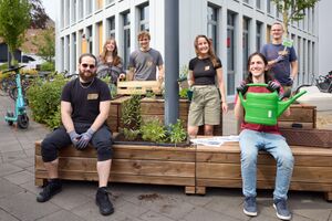 Green Office.jpg