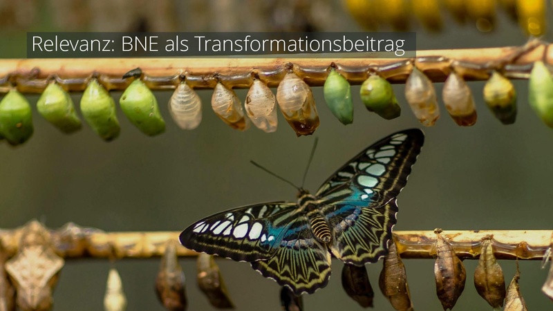 Datei:C Einsiedel Nachhaltigkeit-interdisziplinaer-TH-OWL.pdf