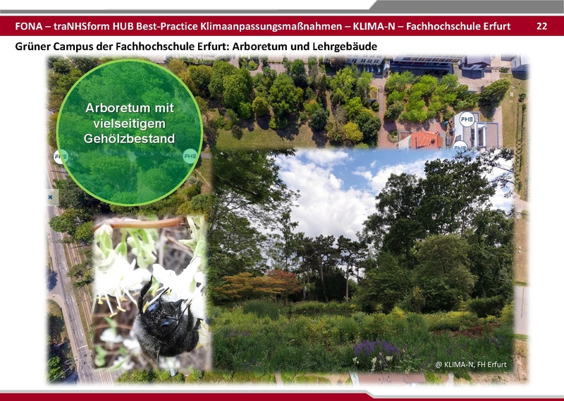 Datei:BestPractice HUB final zum verschicken 25 06 03.pdf