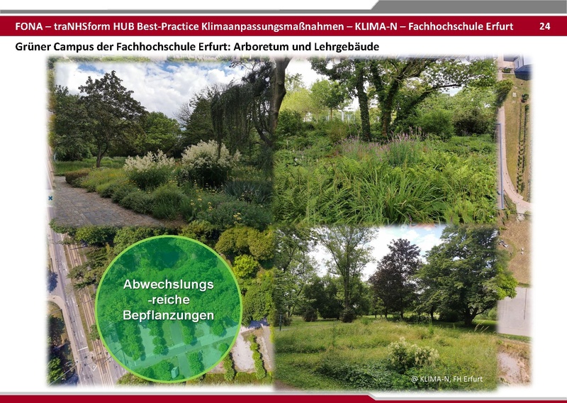 Datei:BestPractice HUB final zum verschicken 25 06 03.pdf