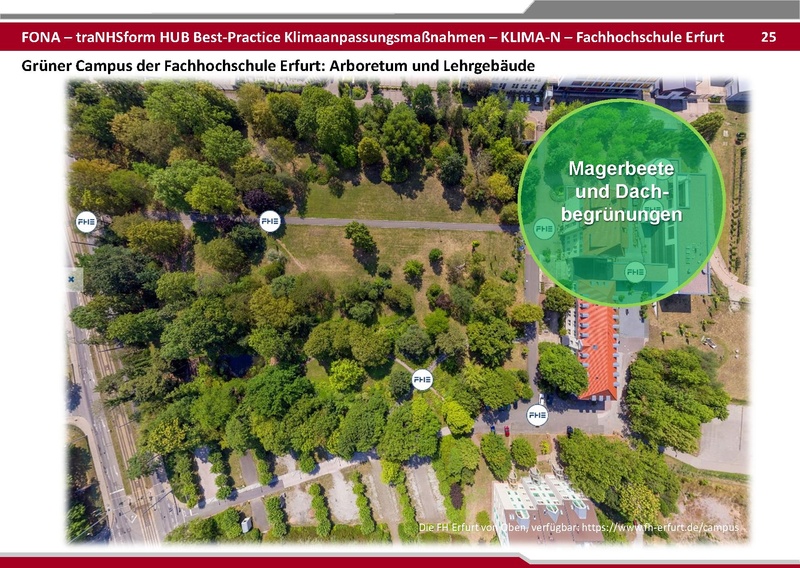 Datei:BestPractice HUB final zum verschicken 25 06 03.pdf