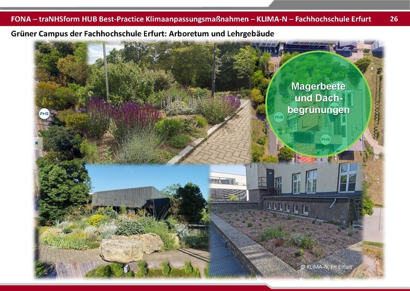 Datei:BestPractice HUB final zum verschicken 25 06 03.pdf