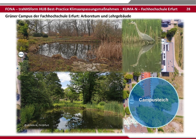 Datei:BestPractice HUB final zum verschicken 25 06 03.pdf