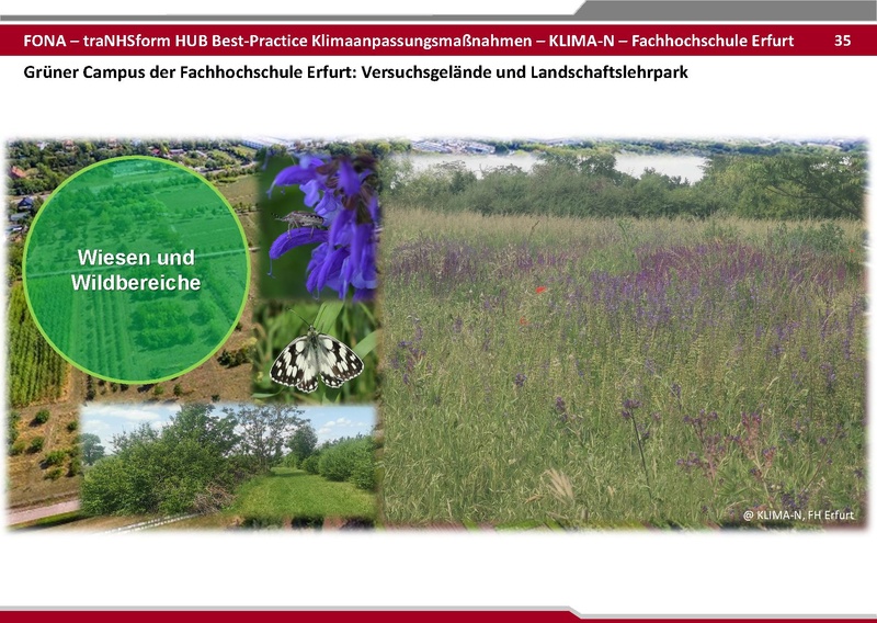 Datei:BestPractice HUB final zum verschicken 25 06 03.pdf