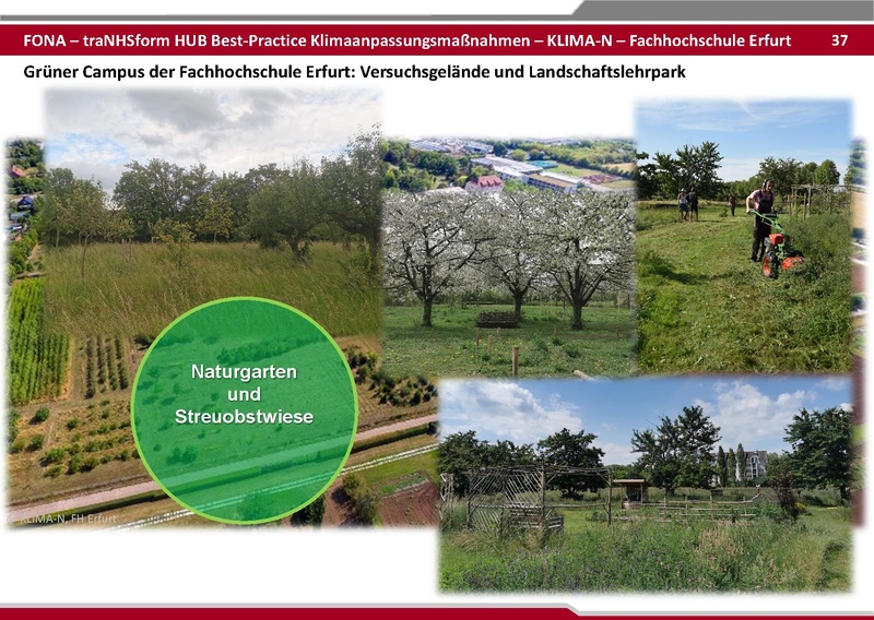 Datei:BestPractice HUB final zum verschicken 25 06 03.pdf