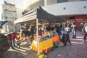 Herrenkrug Teller.jpg