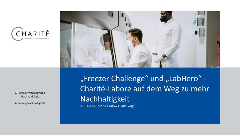 Datei:Blitzlicht-Session 1 Charité.pdf