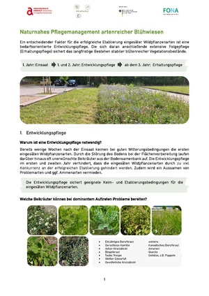 Handout Pflegemanagement KlimaPlanReal Logos.pdf