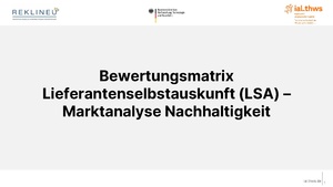 REKLINEU Bewertungsschema Verbrauchsgüter.pdf