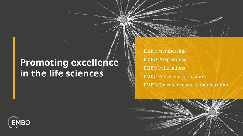 Datei:2 Keynote SPARKHub.pdf