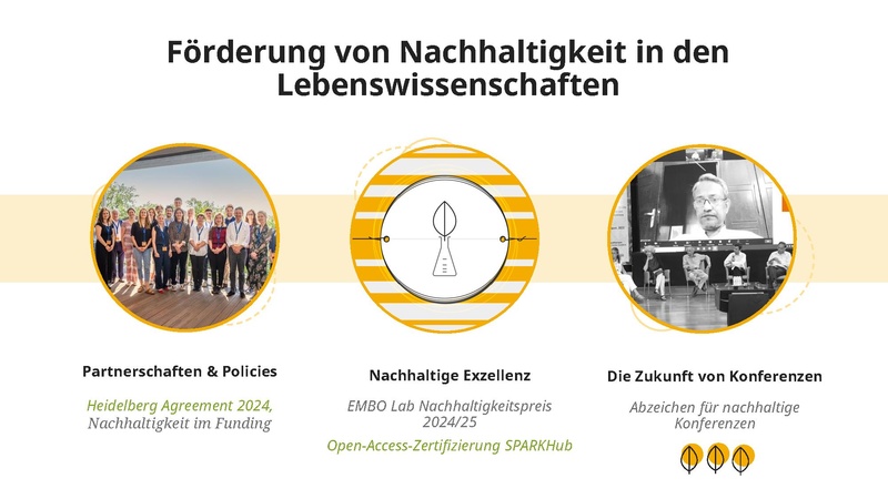 Datei:2 Keynote SPARKHub.pdf