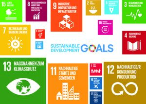 Forschung Abb12 SDG.jpg