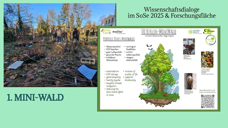 Datei:Slides Nachhaltige Bibliothek Janet Wagner 20260316.pdf