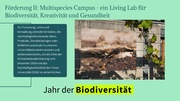 nächste Seite →