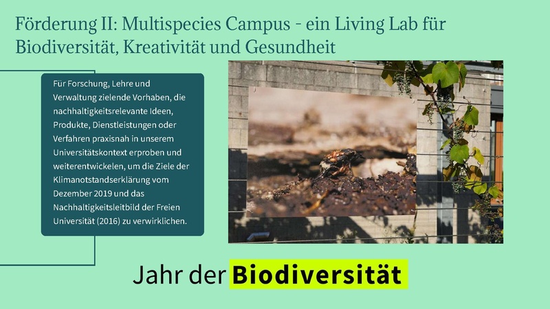 Datei:Slides Nachhaltige Bibliothek Janet Wagner 20260316.pdf