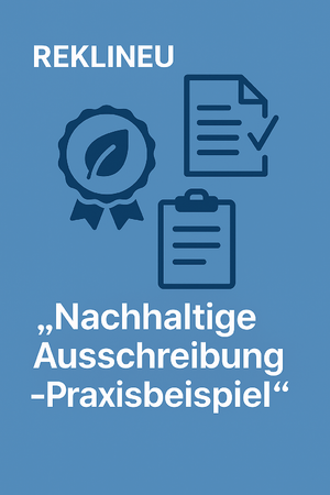 REKLINEU Transprozess NH Beschaffung (DL).png