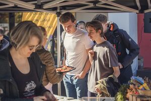 Essen Grüner Teller.jpg