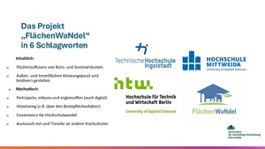FlächenWaNdel 240926.pdf